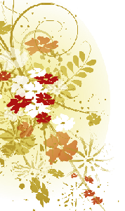wpbd9756aa.png